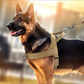 🔥 Robustes Taktik-Hundegeschirr mit Griff – 60% RABATT! 🐾 Kein Ziehen • Kein Würgen • Sofortkontrolle & 3M-Reflektoren
